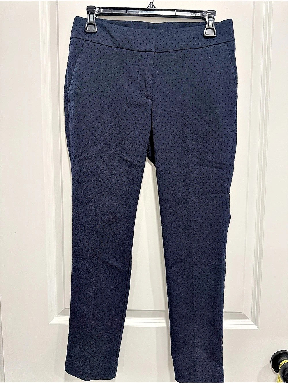 LOFT Julie Skinny Polka Dot Skinny Pants in Blue Size 2P